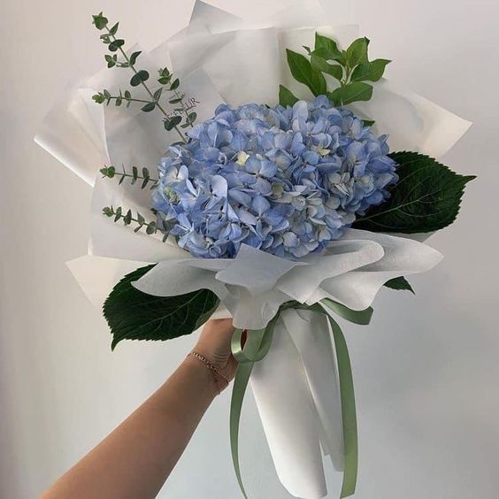Hoa cẩm tú cầu cầm tay màu xanh