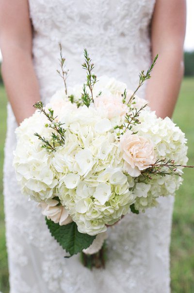 Hoa cẩm tú cầu trắng đơn giản