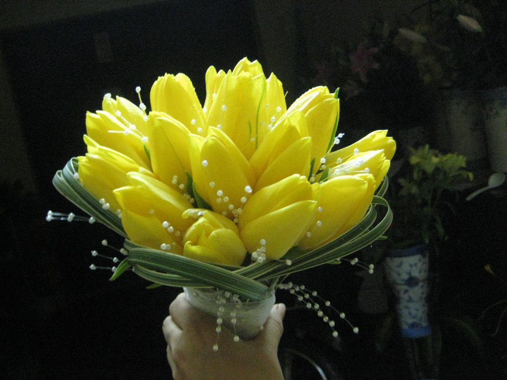 Hoa cưới Tulip vàng