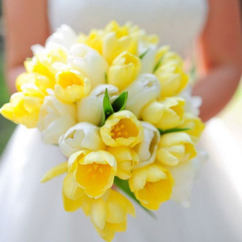 Bó hoa cưới hoa tulip màu vàng