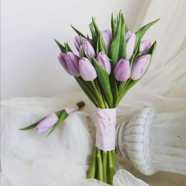 Hoa cưới Tulip màu tím