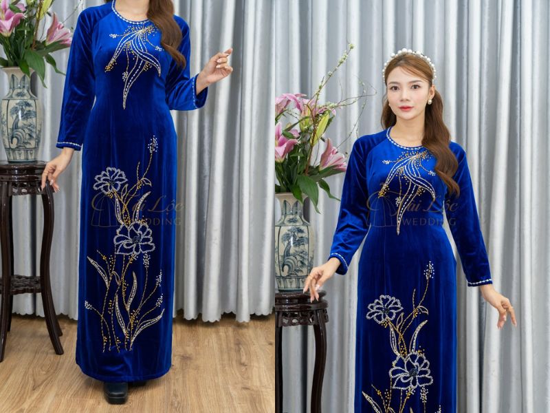 Bà Sui Xanh Dương Nhung Lá Cườm Vàng Bà Sui Xanh Dương Nhung Lá Cườm Vàng