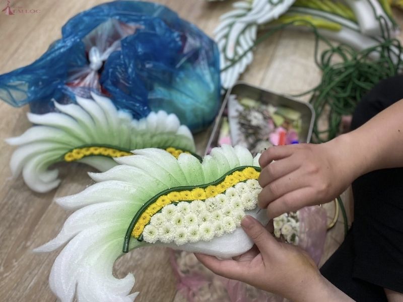 Lộ trình chương trình học chi tiết